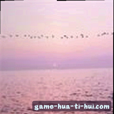 陈磊